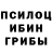 Галлюциногенные грибы прущие грибы Roby,I've already