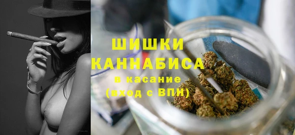 spice Абаза