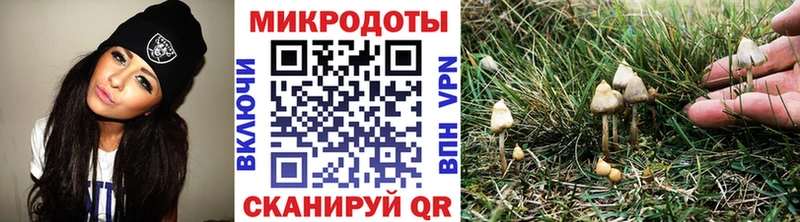 Псилоцибиновые грибы ЛСД  где продают наркотики  Томмот 