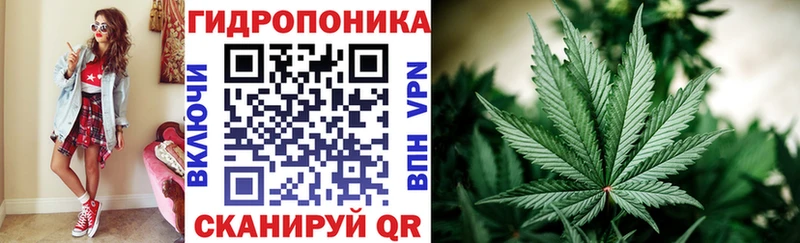 Канабис White Widow  хочу   Томмот 